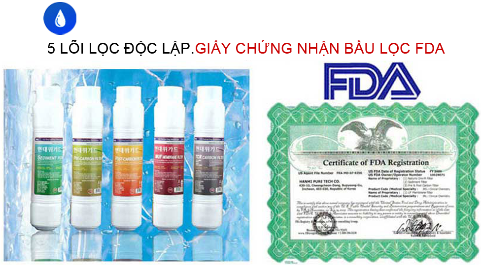 5 lõi đọc lập