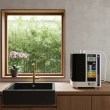 Phối cảnh máy Kangen Leveluk SD501 lắp đặt ở không gian sang trọng