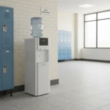 Phối cảnh lắp đặt máy Kangaroo KG32N lắp đặt tại trường học