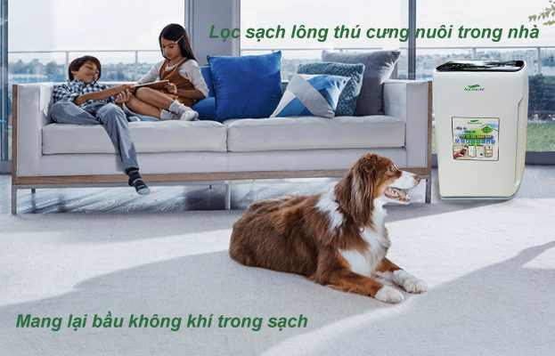 lọc sạch hết lông thúc nuôi trong nhà