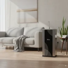 Phối cảnh lắp đặt máy Livotec 311 sang trọng