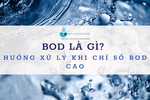BOD là gì? Hướng xử lý khi chỉ số BOD cao