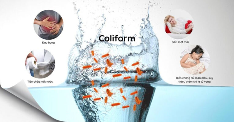 Vi khuẩn Coliform là gì? cách xử lý khi nguồn nước nhiễm Coliform