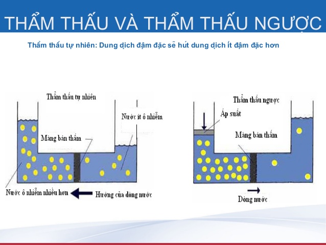 xử lý nước nhiễm mặn bằng phương pháp thẩm thấu ngược RO