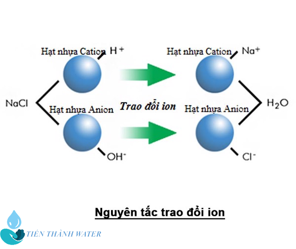 hoạt động của hạt nhựa trao đổi ion 