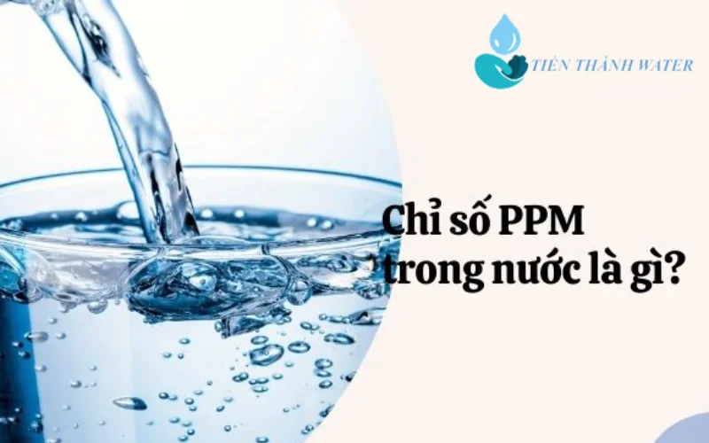 Thông tin chỉ số PPM trong nước