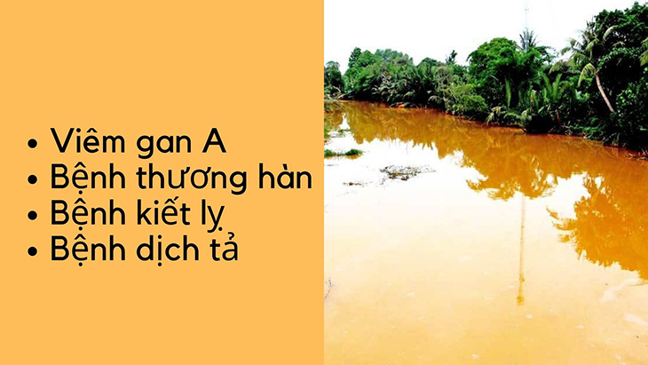 Nguồn nước nhiễm phèn ảnh hưởng tới sức khỏe con người
