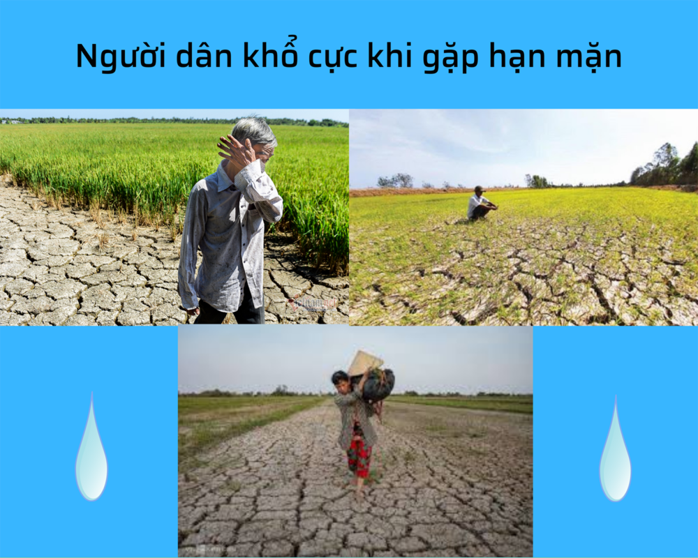 lắp đặt hệ thống lọc nước mặn tại miền Tây