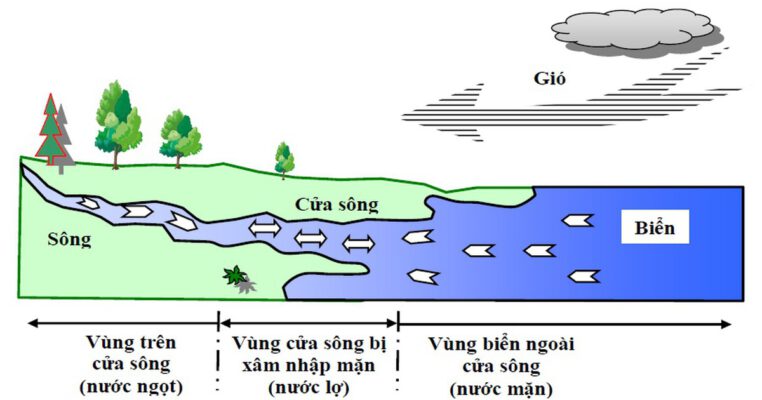 hệ thống lọc nước mặn 