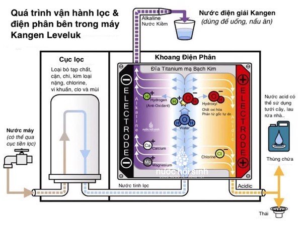 Máy lọc nước điện giải Kangen có gì đặc biệt?