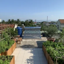 Phối cảnh lắp đặt máy nước nóng năng lượng mặt trời 300l tại khu vực sân thượng thoáng mát