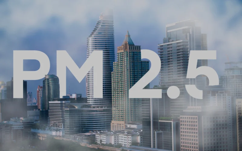 Loại bỏ bụi mịn PM2.5 và các tác nhân gây dị ứng