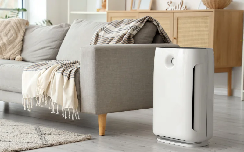 Phân loại máy lọc không khí phổ biến hiện nay