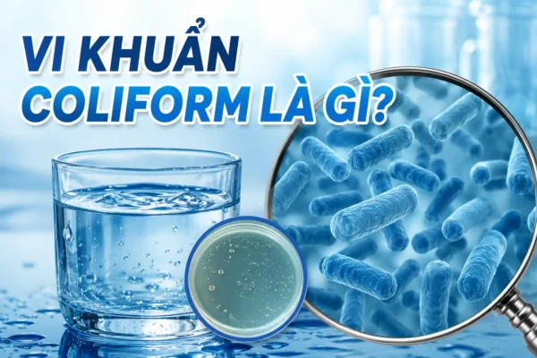 Vi khuẩn Coliform là gì?